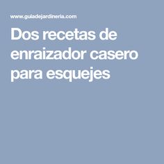 9 Ideas De Fruticultura Cultivo De Plantas Jardineria Y Plantas Arandanos Cultivo