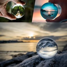 80mm Boule Décorative de Cristal Optique Transparent Pissenlit