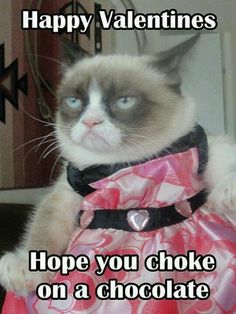 Grumpy Cat Love Valentines