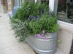 87 Best Stock Tank Gardening Images In 2018 Diy Greenhouse Green Galvanized Water Tank As A Garden