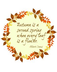 416 best fall sayings