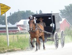 10 Iowa Amish Ideas Iowa Amish Amish Country