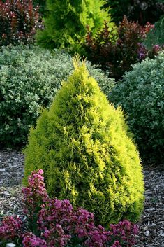 Gwen Wisniewski Landscape Garden Design Services In Pittsburgh