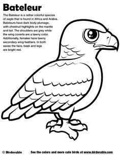 17 Birdorable Coloring Pages ideas coloring pages cartoon birds