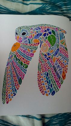 Millie Marottas Animal Kingdom Owl