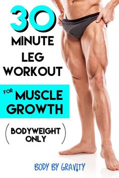 leg muscles reference