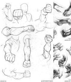 38 best hand reference images on pinterest how to draw hands
