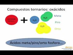 22 Ideas De Bioquímica En 2021 Bioquímica Biología Biologia Molecular