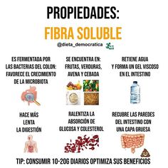 25 Ideas De Microbiota Microbiota Microbiota Intestinal Probióticos