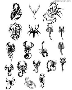 different scorpion tattoo ideas tattoos pinterest scorpion different scorpion tattoo ideas tattoos pinterest scorpion