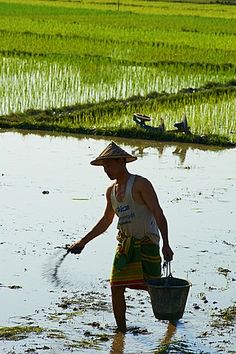 Rub My Penis Asian Gold Farmer