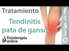 51 Tendinitis De La Pata De Ganso Ideas Rehabilitation Exercises Tendinitis Physiotherapy