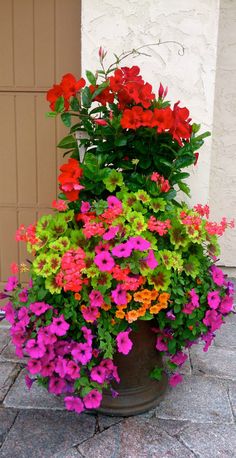 Garden S c25e0fd1b0bae2c3ce ed garden container container flower gardening full sun