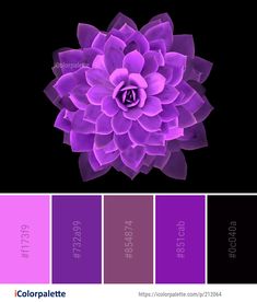 79 Violet Color Palettes Ideas In 21 Violet Color Palette Color Shades Palette 79 Violet Color Palettes Ideas In 21 Violet Color Palette Color Shades Palette
