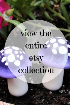 Miniature Dollhouse FAIRY GARDEN ~ Set 3 Pixie ENCHANTED FOREST Signs Rules Play