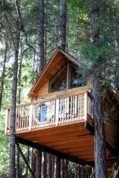 Tree House Plans For Adults 30 free diy tree house plans to make your childhood (or adulthood Tree House Plans For Adults 30 free diy tree house plans to make your childhood (or adulthood