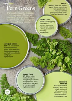 124 Best Green Paint Colors Images On Pinterest In 2018 Wall Paint Palette Fern Greens Swatcheswall Colorsgreen