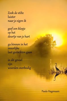 Korte Engelse Gedichten Over Liefde