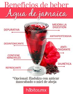 flor de jamaica agua