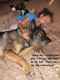 german sheperd penetrates woman German sheperd penetrates woman
