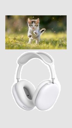shuffle