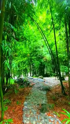 Nature Man Intalnire