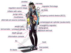 scuba diving sex gear Amateur female electric tooth brush masterbation