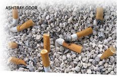 41 best commercial odor eliminators images odor remover cfl light bulb smoking