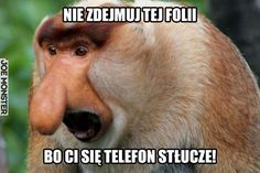 Najlepsze Obrazy Na Tablicy Janusz 16