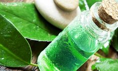 Natural Powerful Treatments For Bacterial Toenail Infection Natural Powerful Treatments For Bacterial Toenail Infection