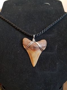 Summer Necklace Fossil Shark Tooth Shark Tooth Necklace Sharks Fossil Shark Tooth Shark Tooth Choker Sand Tiger Shark Tooth Necklace