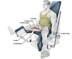 12 best abductor machine