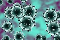 el enterovirus causa diabetes