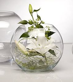 Bulle Ballon-Home Table De Mariage 20 cm 8/" Clair Bocal à poissons en verre fleur vase