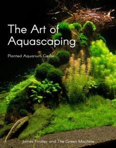 90 best aquarium images