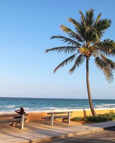 26 Best Costa Rica Images Pura Vida Travel Life Is A Beach Palm Florida By Zioandsons Sea