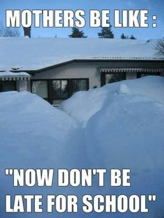 Check Out Our Really Funny Pictures With Captions And Funny Picture Quotes Check Out Our Really Funny Pictures With Captions And Funny Picture Quotes