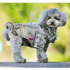 Pet Winter Coat Retro Design Cozy Warm Reversible Jacket Vest Outfit Clothes with red