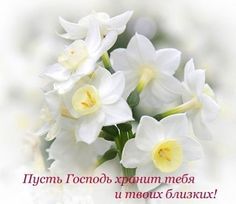 (74) Одноклассники