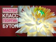 Цветочные Узоры, Цветочные Огни, Изящные Банты, Бумажные Розы, Прически Своими Руками, Идеи, Гигантские Цветы, Бумажные Цветы, Драже