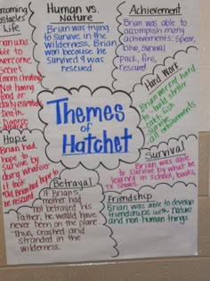 Hatchet essay