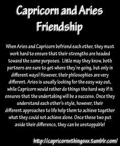 Is capricorn and aquarius compatible