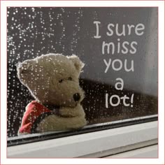 My darling partnersuche