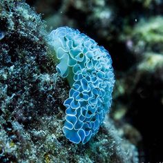 love this nudi pic