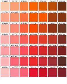 63 Best Orange Swatches Images Color Palettes Paint Pallets P A N T O E R G S Red Color Chart Rosa Colour Palette Orange