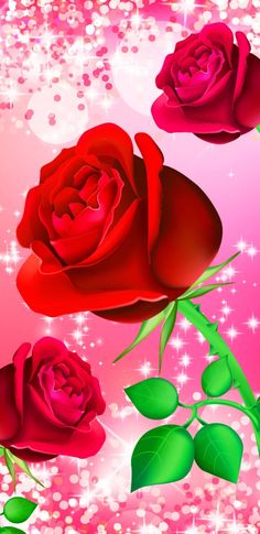 hd rose wallpapers for mobile wallpaperpulse android pinterest