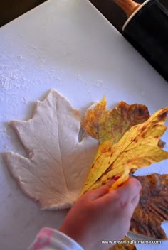 336 best leaf tree