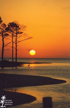 473 Best In And Around St George Island Images On Pinterest St George Island Sunset Lovefl Saint Florida Beaches Sailboats