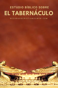 El Nuevo Nuevo Testamento Pelicula Completa En Español Pelisplus