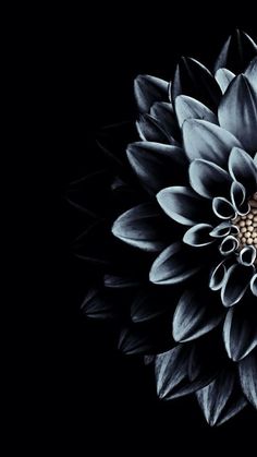 La Vida Negra These Black Wallpaper On Your Phone Or Tablet Will Be Very La Vida Negra These Black Wallpaper On Your Phone Or Tablet Will Be Very